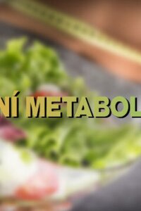 Bazální metabolismus - co to je a jak ho spočítat?